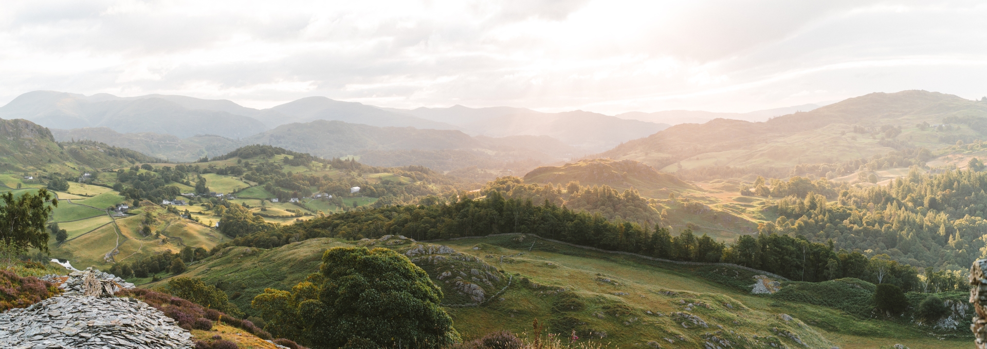Panoramic vista of rolling hills and valleys bathed in soft, golden light.