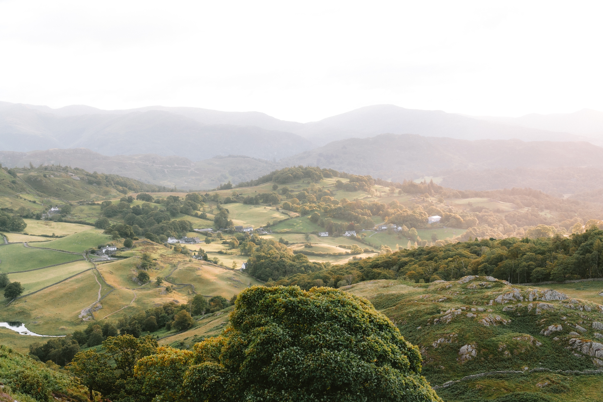 Rolling hills and pastureland bask in soft, early morning sunlight.