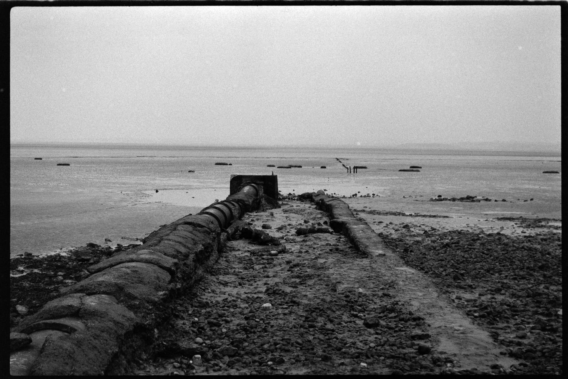 2025-02-17-film-2.jpg