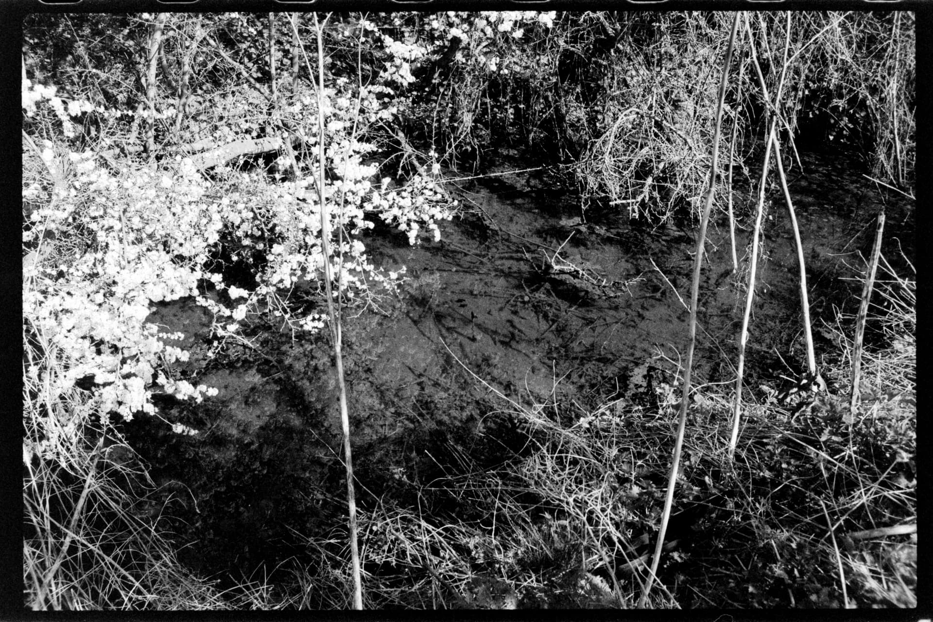 2025-04-05-film-1-2.jpg