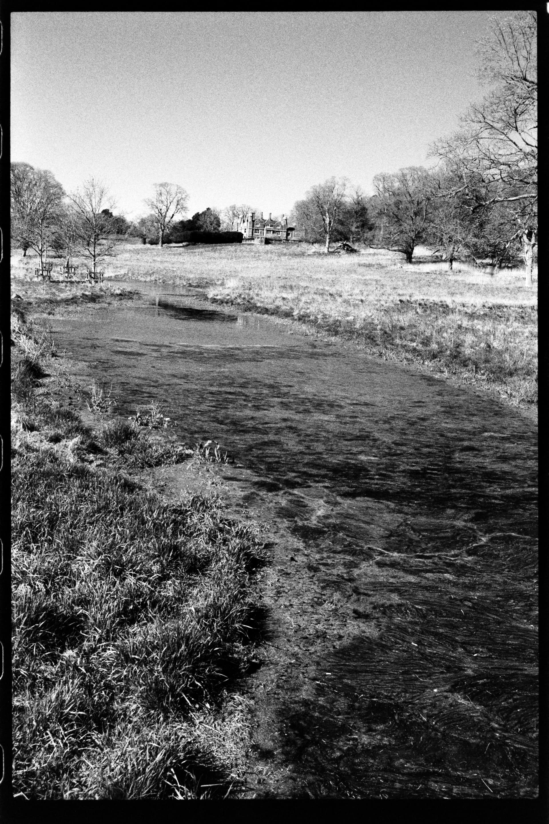2025-04-05-film-1-5.jpg