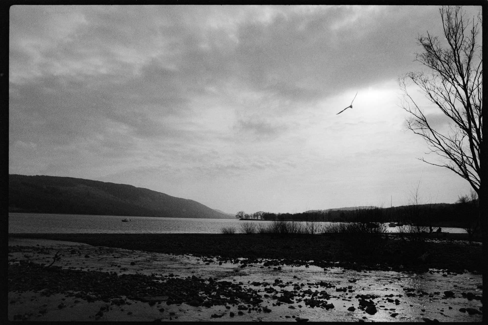 2025-02-17-film-6.jpg