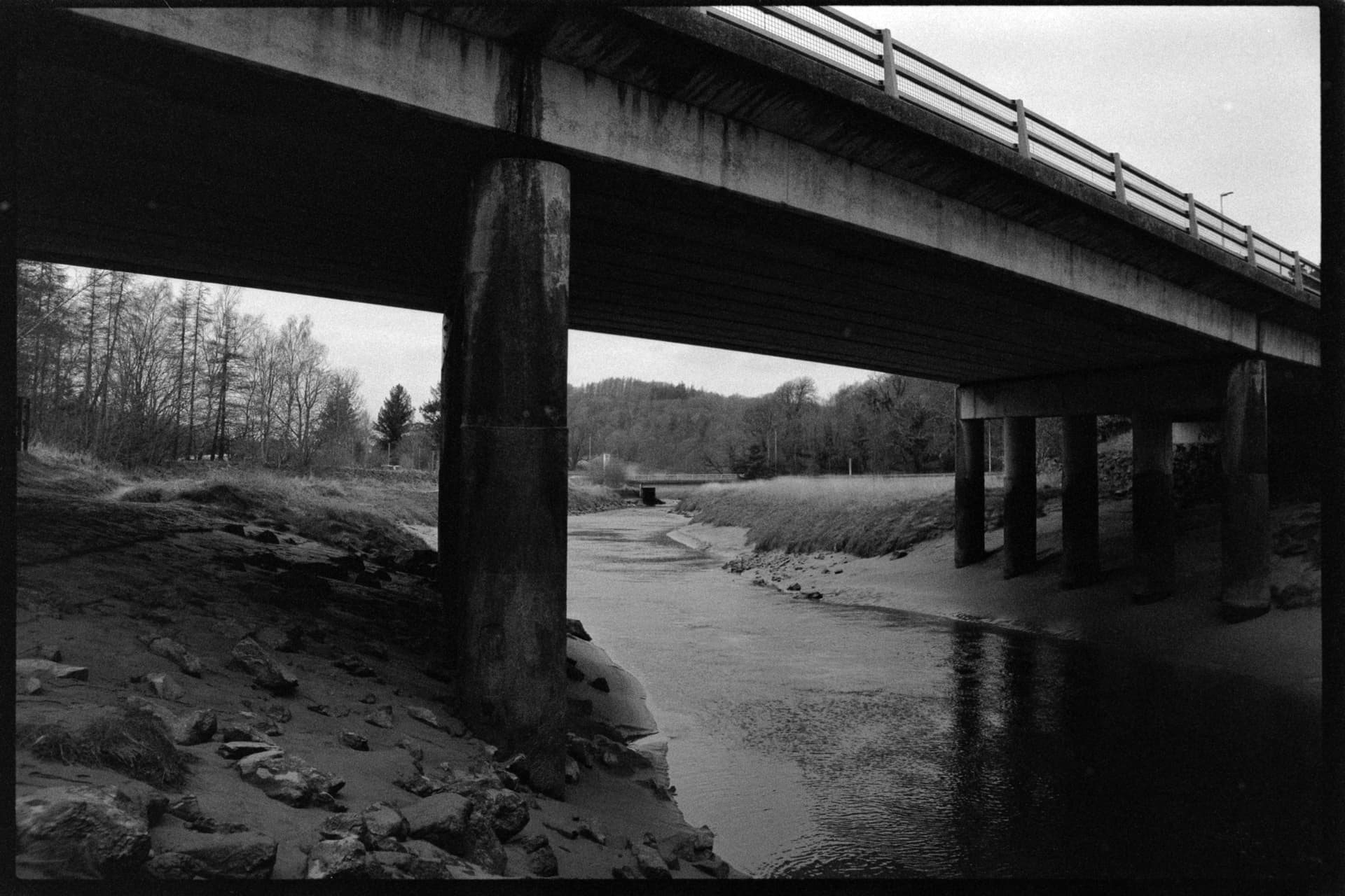 2025-02-17-film-4.jpg