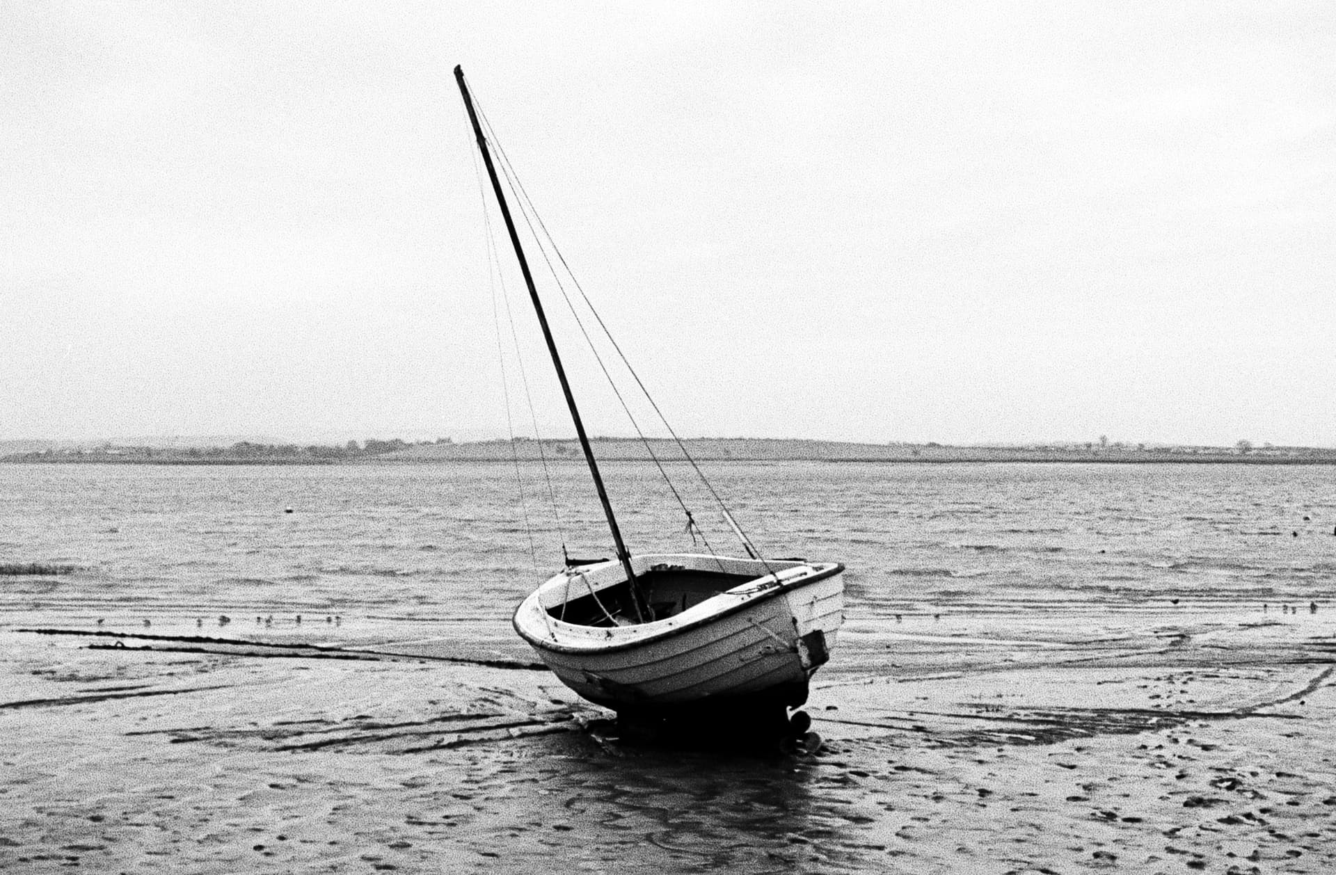 2025-02-19-film-3.jpg
