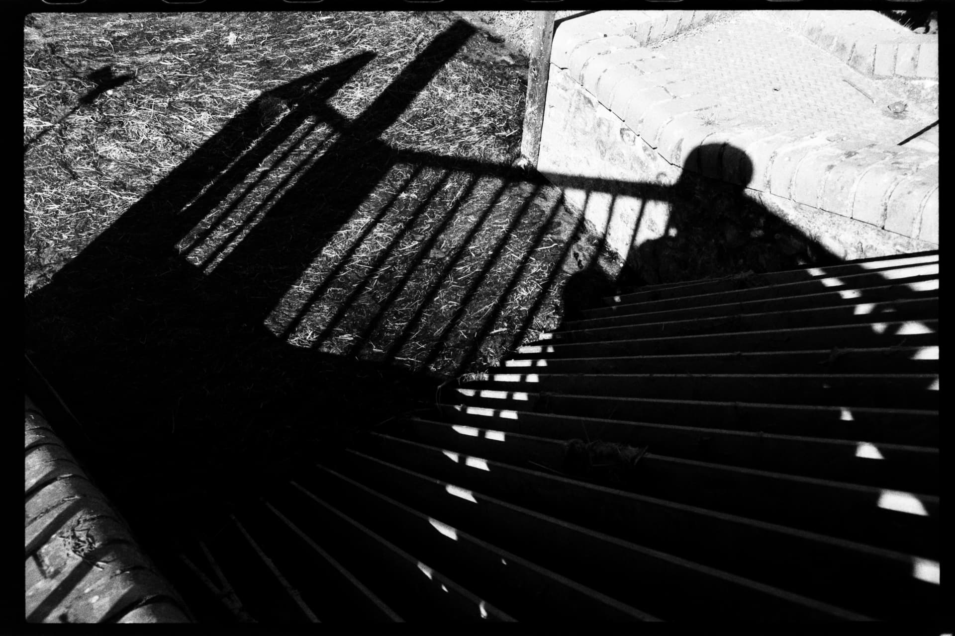2025-04-05-film-1-4.jpg