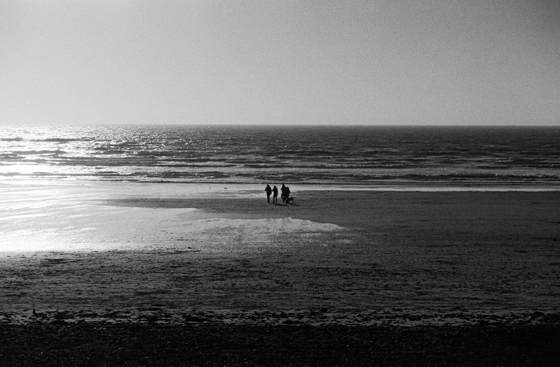2025-02-22-film-3.jpg