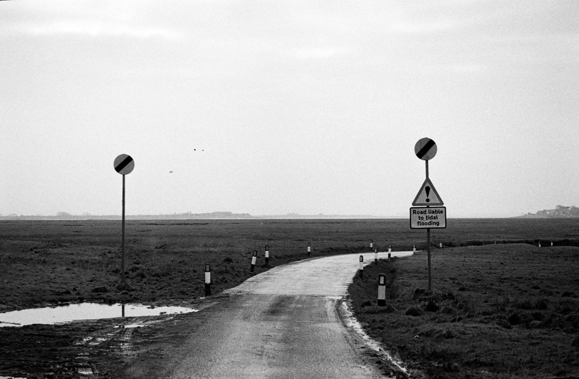 2025-02-19-film-2.jpg