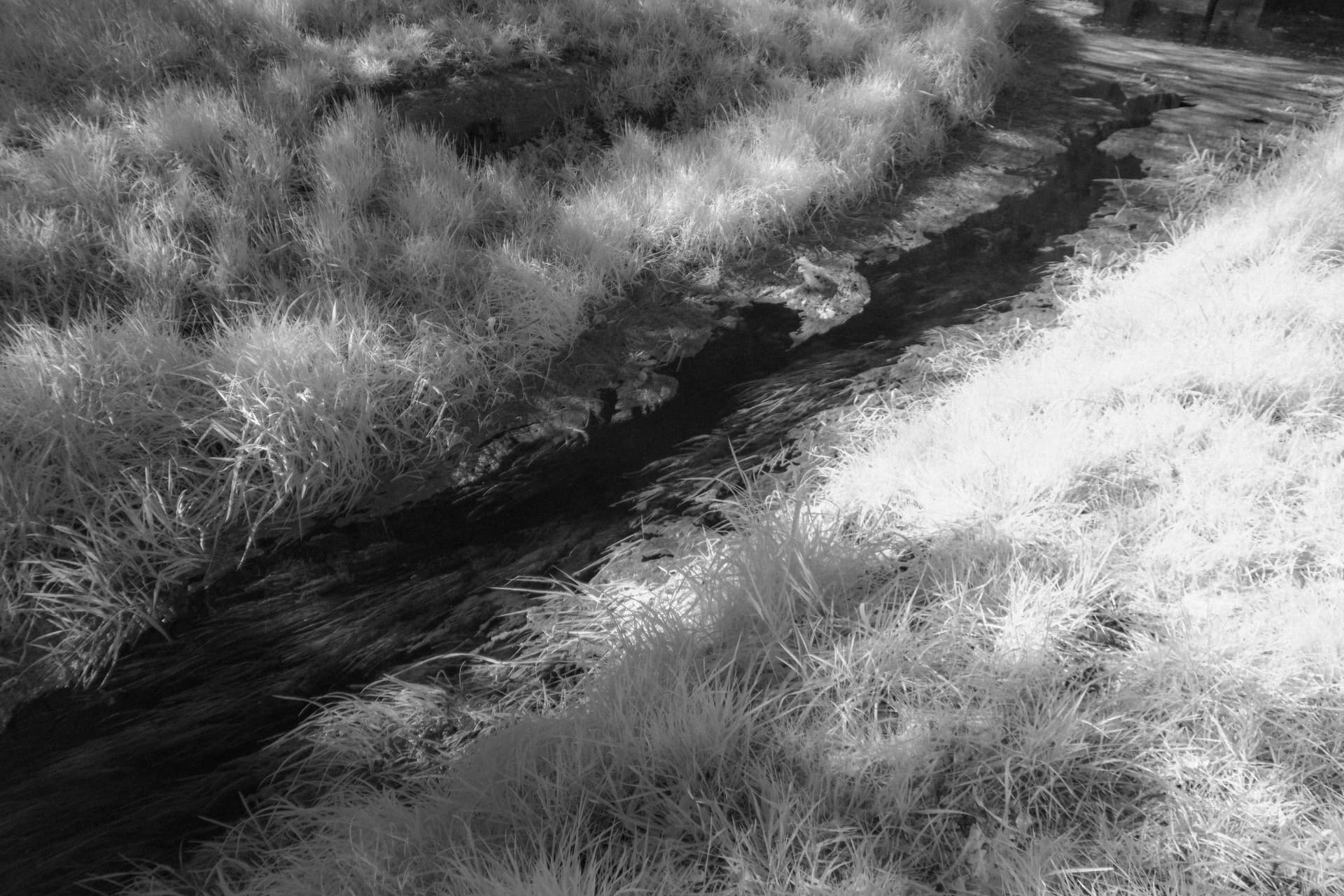 2025-04-05-ir-1-4.jpg