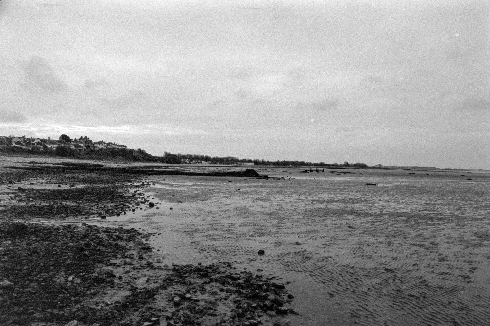 2025-02-17-film-1.jpg