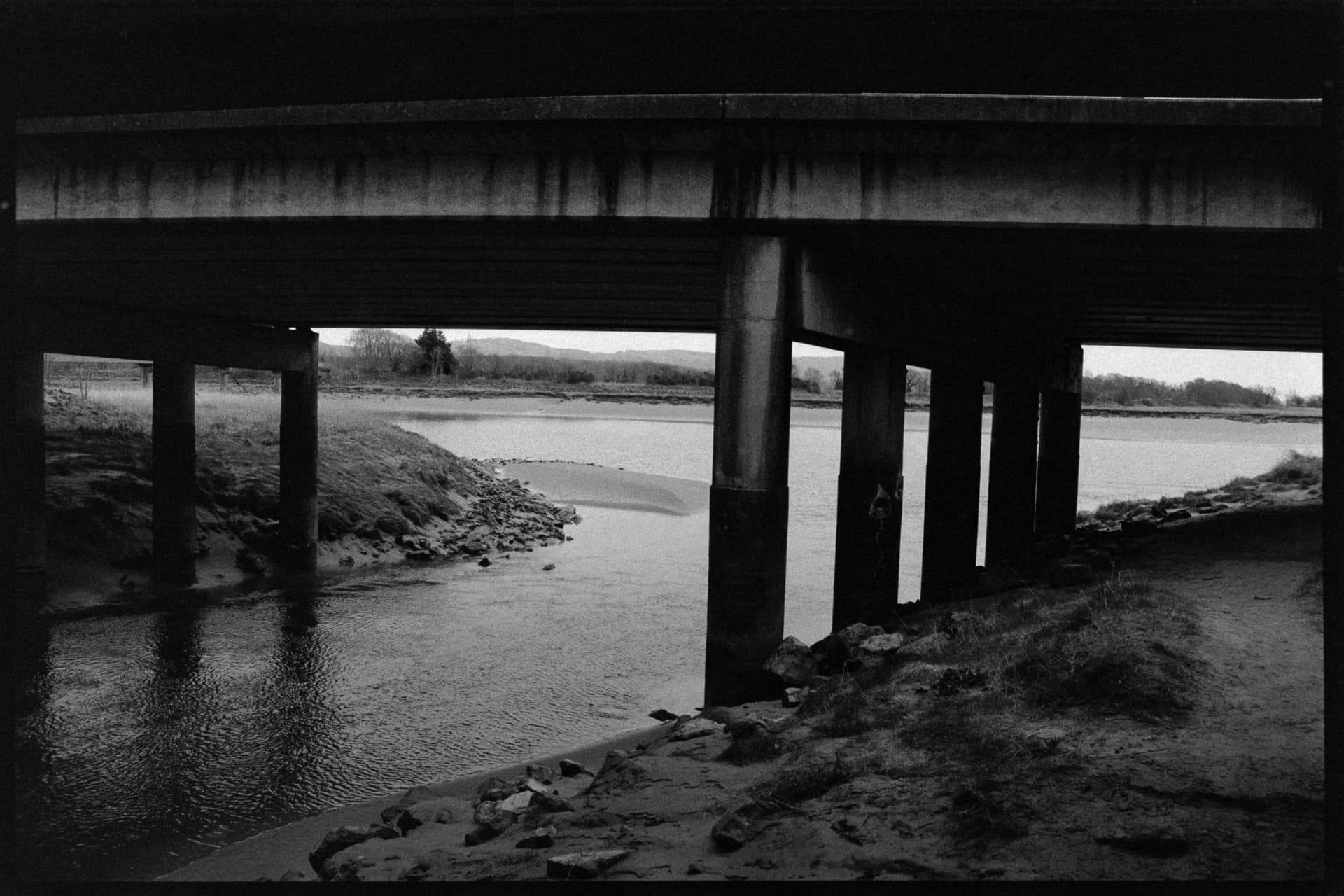 2025-02-17-film-3.jpg