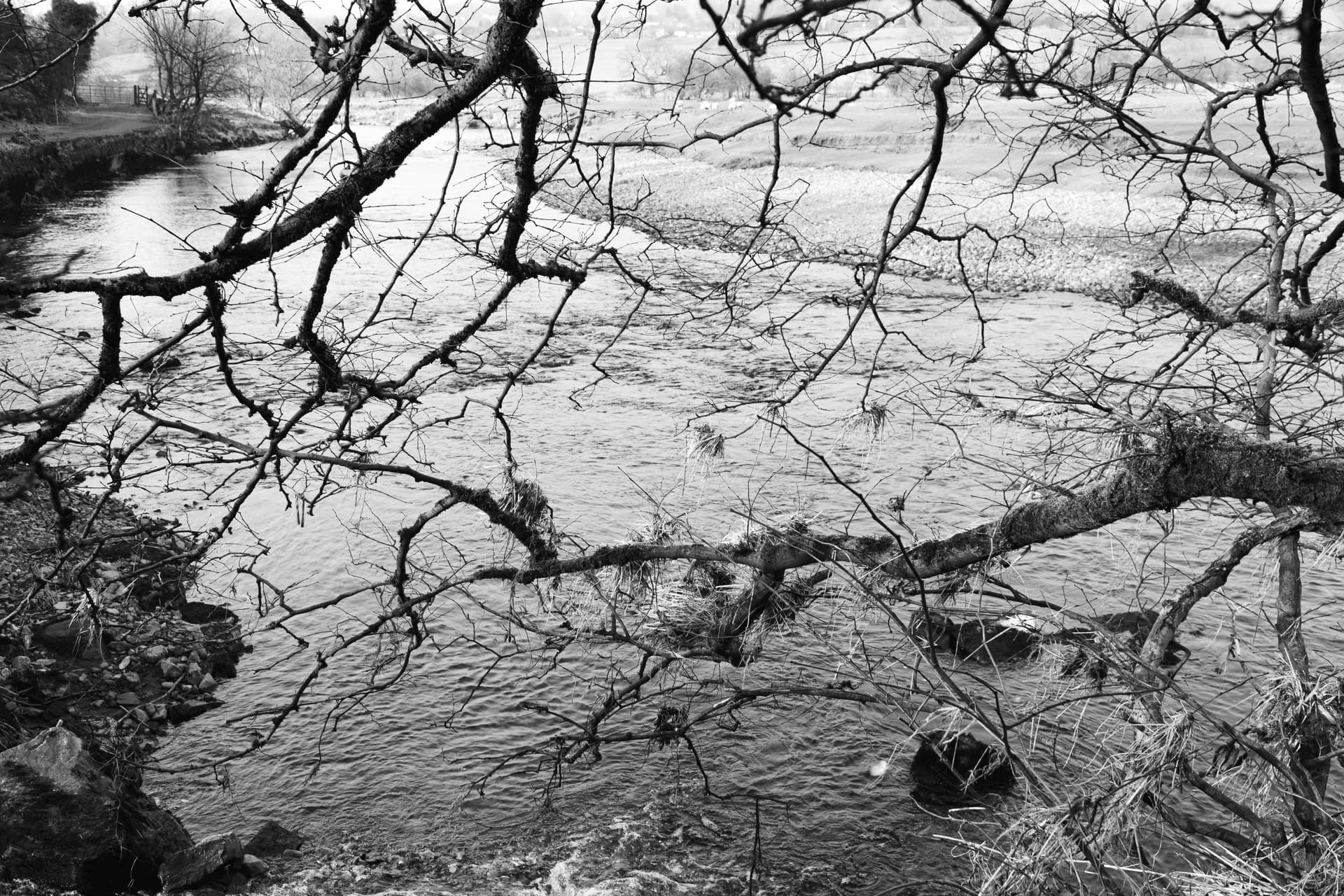 2025-02-18-Chatburn-1.jpg