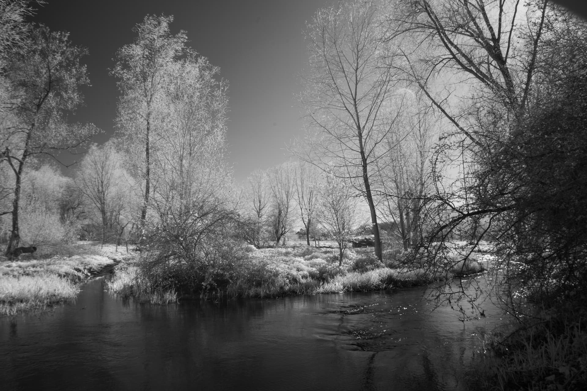 2025-04-05-ir-1-2.jpg