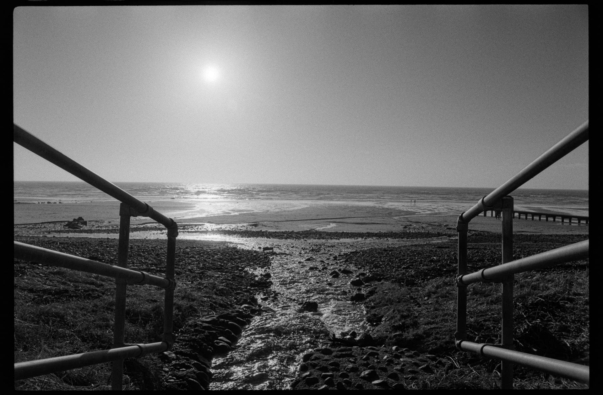 2025-02-22-film-4.jpg
