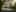 Preload next image